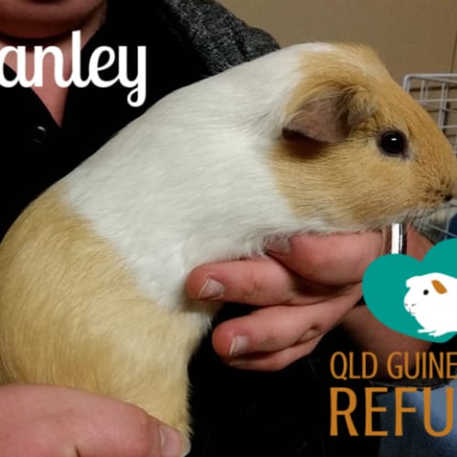 Stanley
