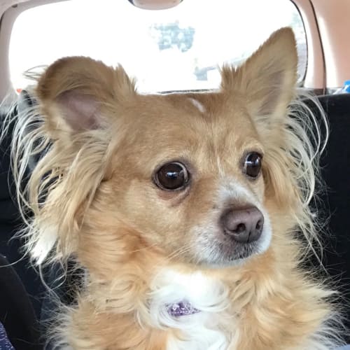 Sammy 