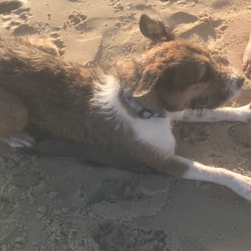 No photo for Wylee 