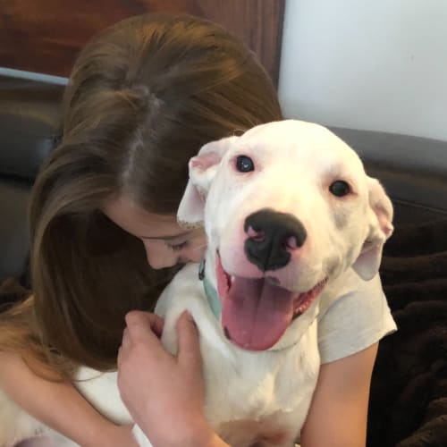 Emmi (on Adoption trial)