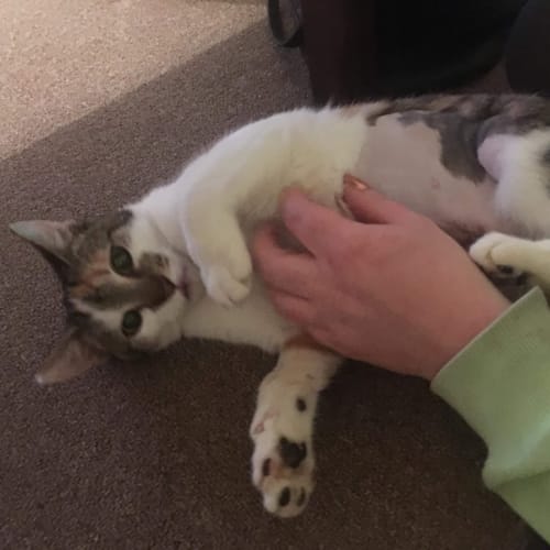 Zoe