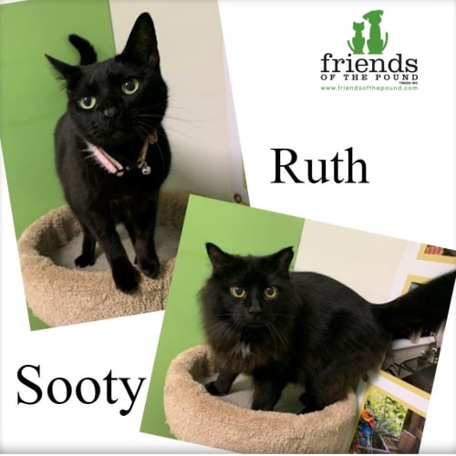 Ruth
