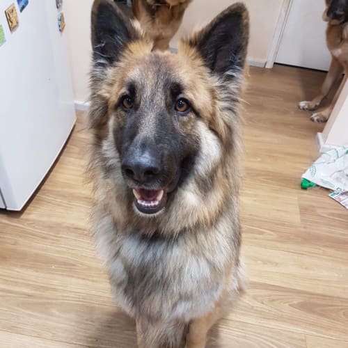 Diesel - Meet and greet organised