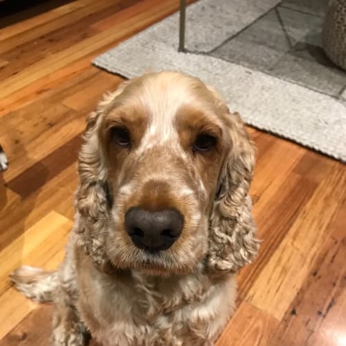 Barkley