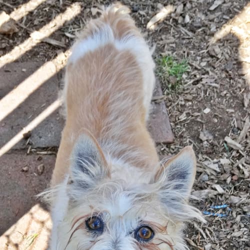 Nellie
