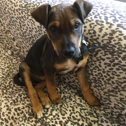 Billy 