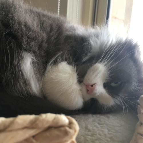 Mia *On Adoption Trial*