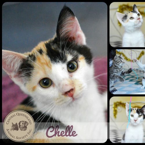 Chelle