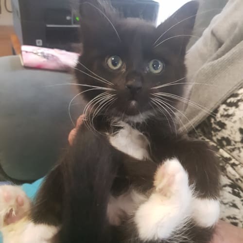 Sebastian 