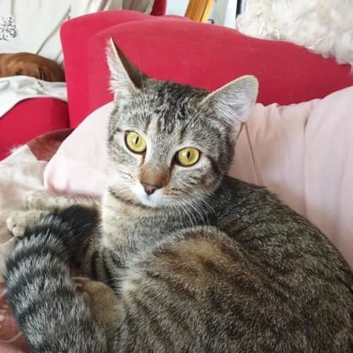 Precious
