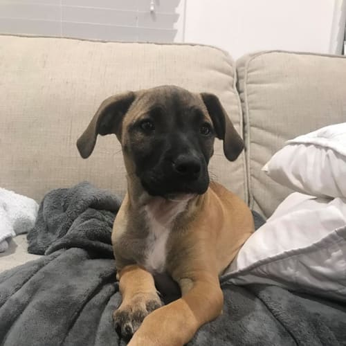 Georgia 