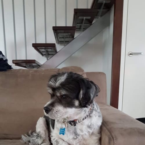 Chester