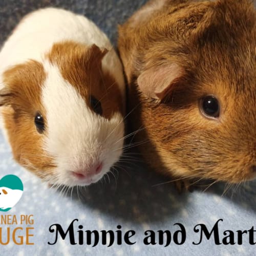 Minnie and Martha