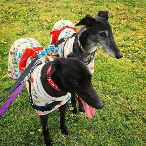 Chance.   Melbourne