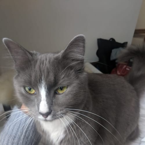 Mika - Meet me Saturday @Neko HQ, Preston