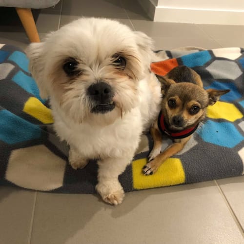 Mia and Marli