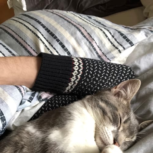 Cute and Cuddly Oatley