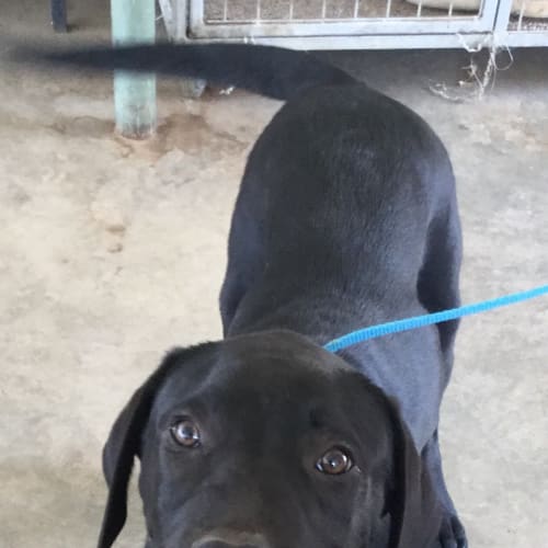 Solomon and Sophie (available separately)