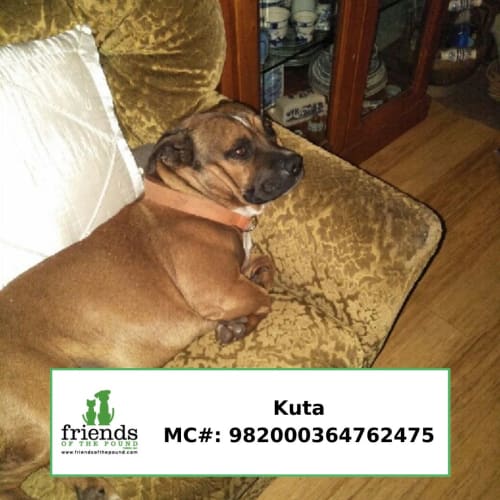 Kuta