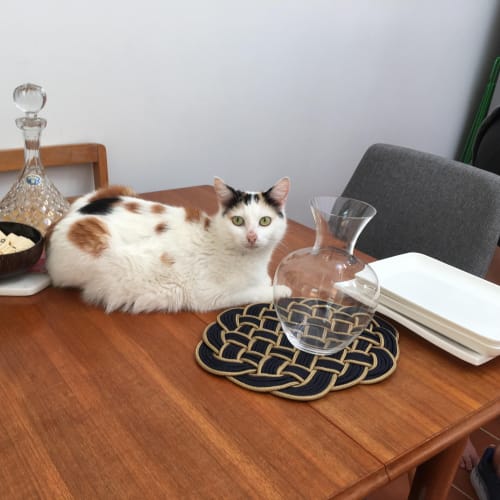 Pancake