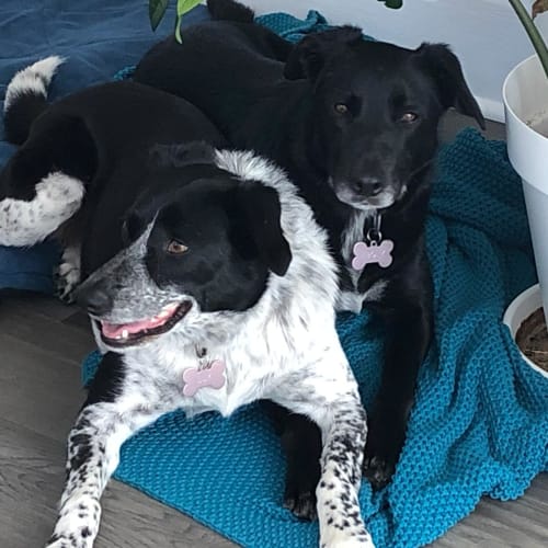 Ebony & Lily