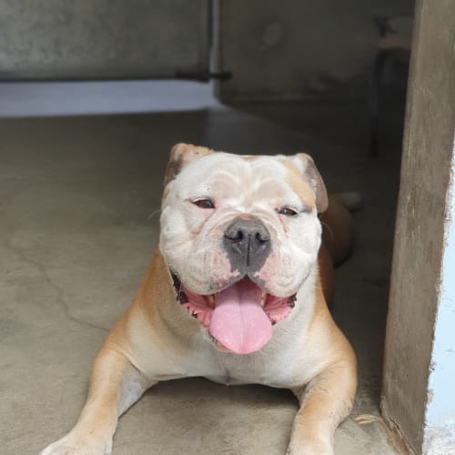Winnie