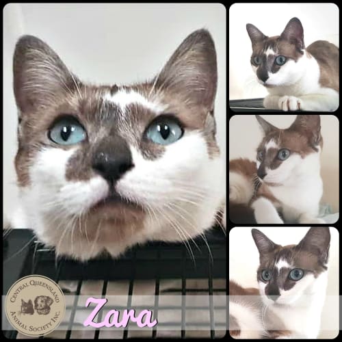 Zara