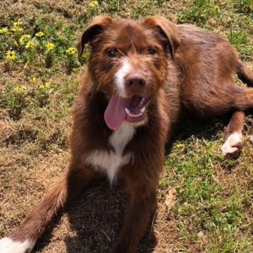 No photo for Galaxy Ralph