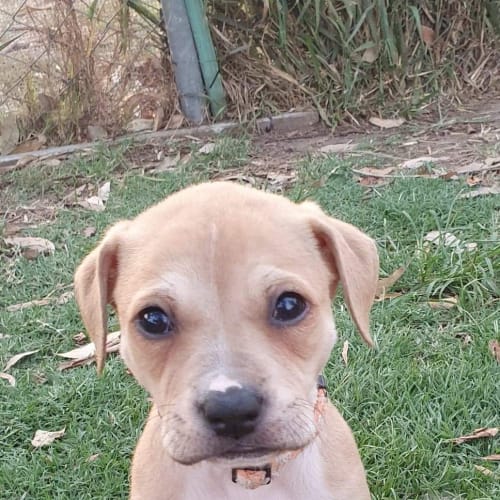Fiona