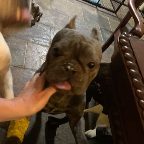Baxter 
