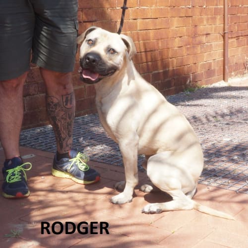Rodger