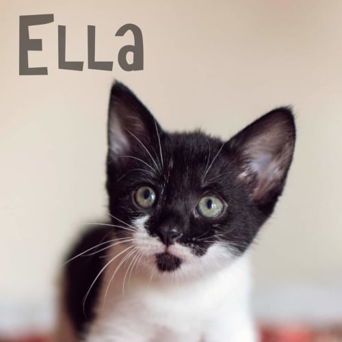 Ella