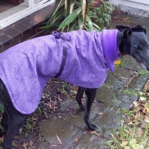 Jilly.   Melbourne