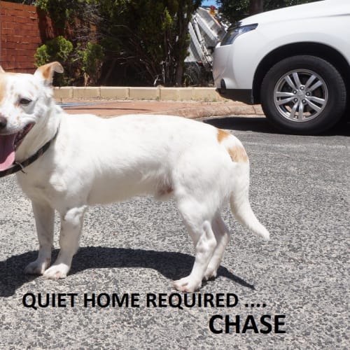 Chase