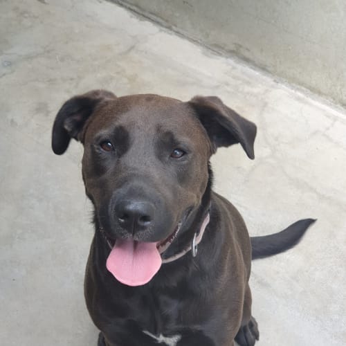 Coco