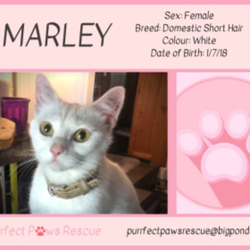 Marley