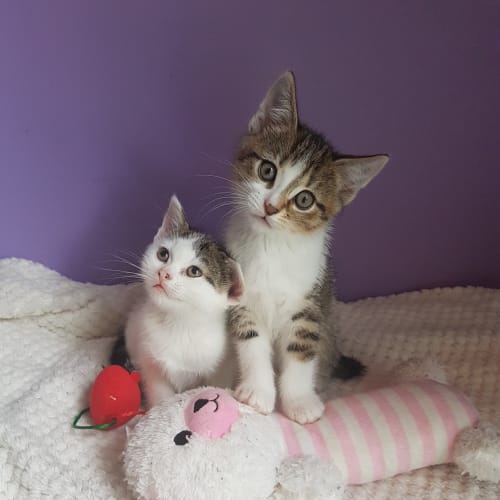 Eve & Paris ❤❤