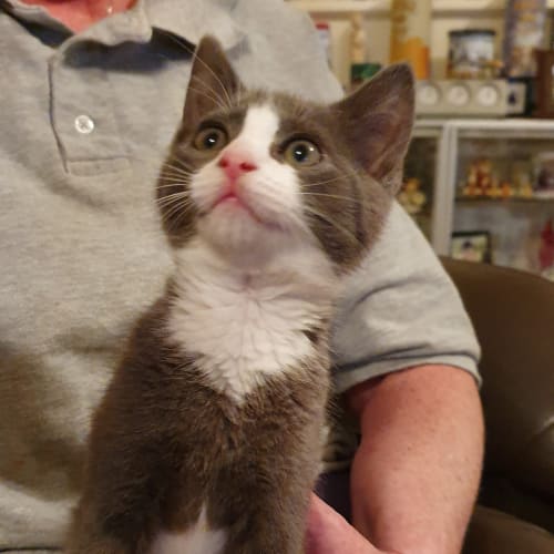 Zeus
