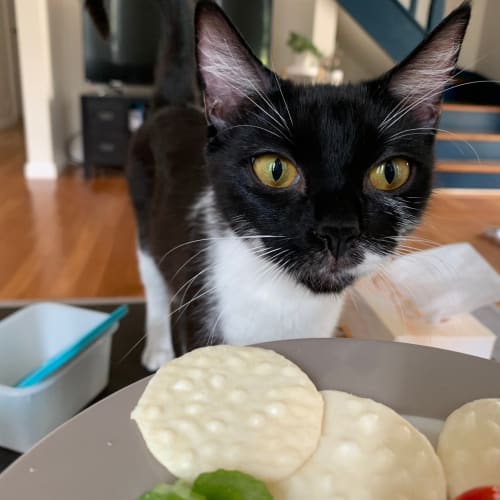 Maggie
