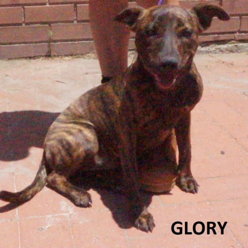 Glory