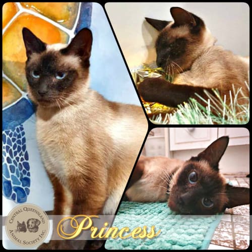 Princess
