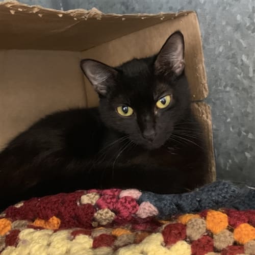 Luna