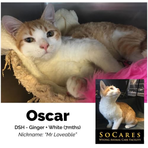 Oscar