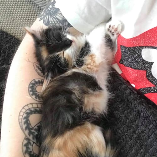 Ruby
