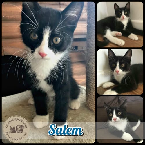 Salem 