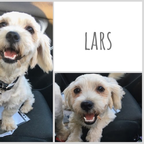 Maggie and Lars