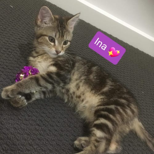 Ina