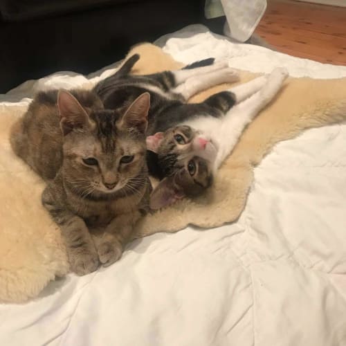 Marcus & Lola