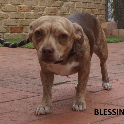 Blessing