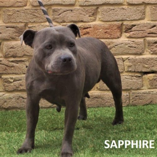 Sapphire